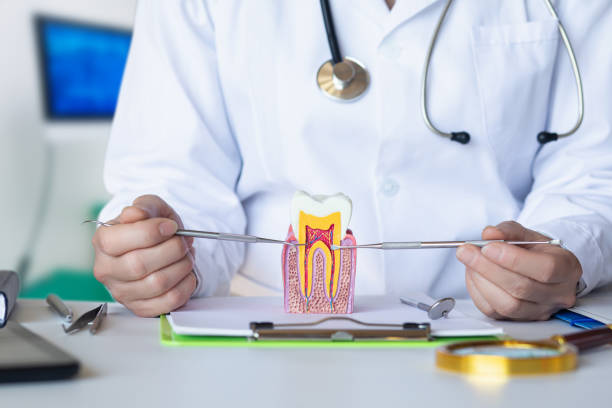 Best Emergency Dental Care for Abscessed Tooth in Rancho Alegre, TX